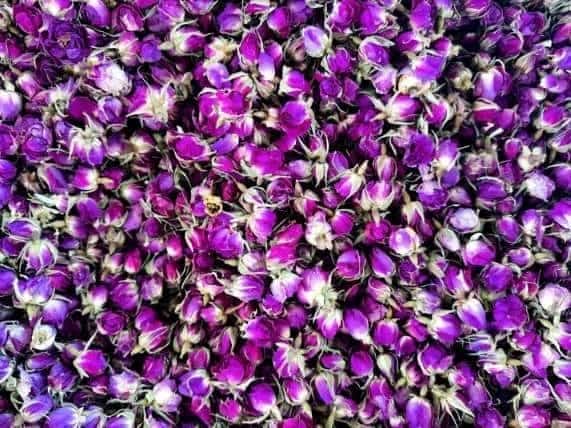 تصویر 2 از قیمت خرید غنچه گل محمدی خشک با فروش عمده